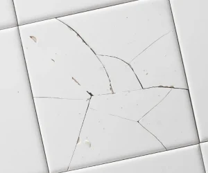 professional fixing of cracked chipped or loose tiles — restoring the safety uniformity and look of your tiled surfaces.webp professional fixing of cracked chipped or loose tiles — restoring the safety uniformity and look of your tiled surfaces.webp